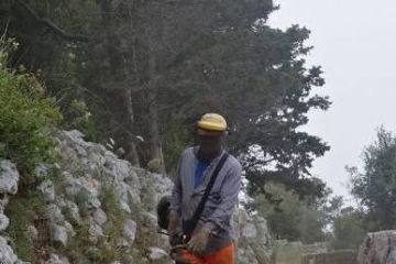 Avviso giornata della Roida