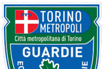 Stemma Guardie Ecologiche Volontarie